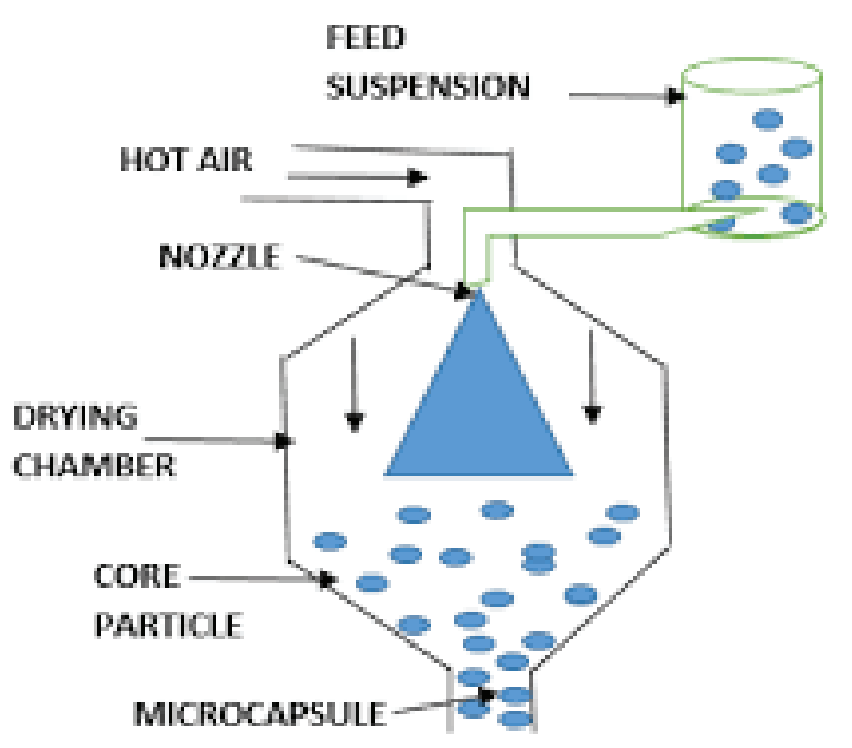 Schematic diagram of spray drying process producing microcapsules from feed suspension through drying chamber with hot air and nozzle